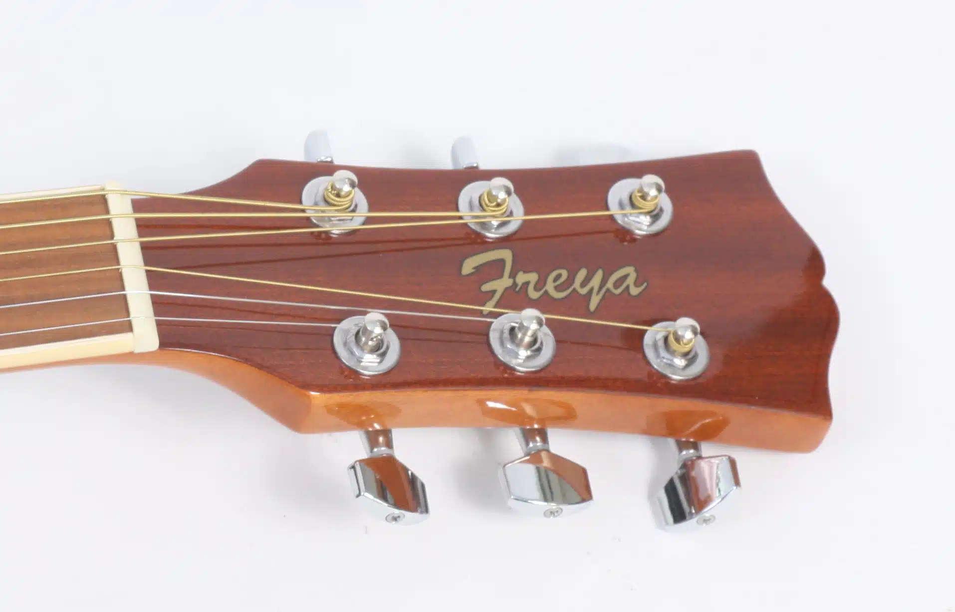 Caraya Dreadnought Built-In Pickups/Tuner Acoustic Guitar